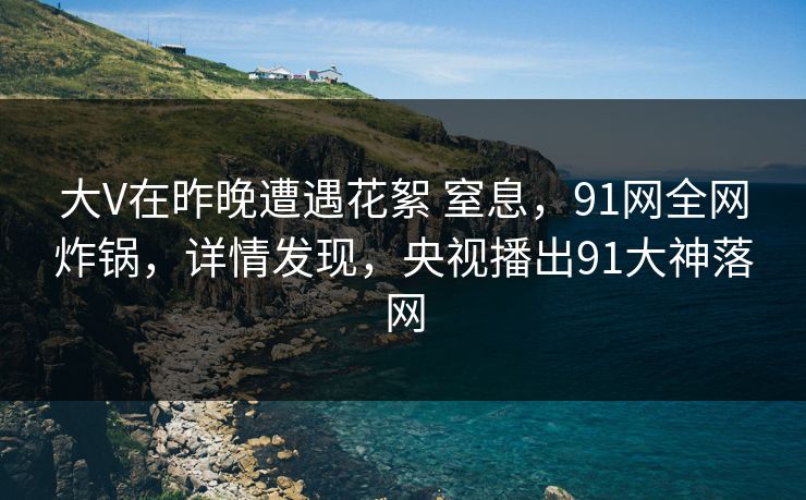 大V在昨晚遭遇花絮 窒息,91网全网炸锅,详情发现,央视播出91大神落网