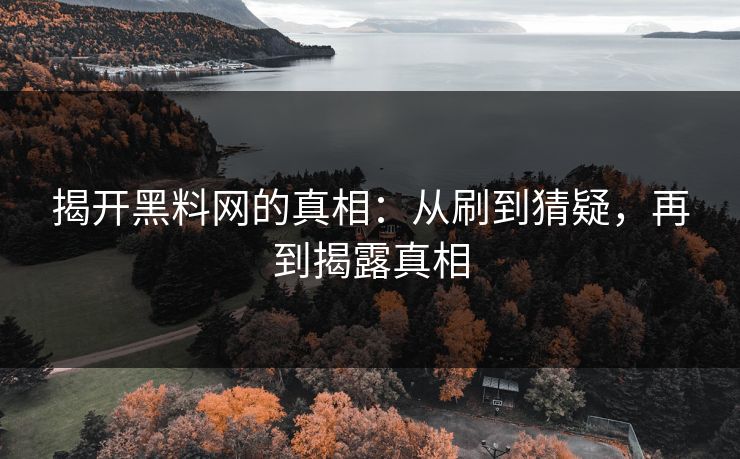 揭开黑料网的真相:从刷到猜疑,再到揭露真相